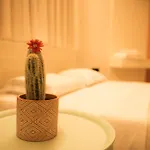 Coral Cane *