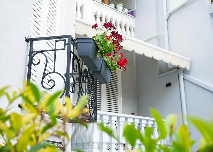 Appartement Coral Cane *