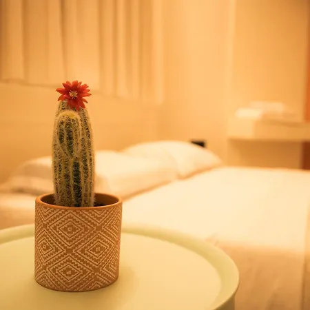 Coral Cane *